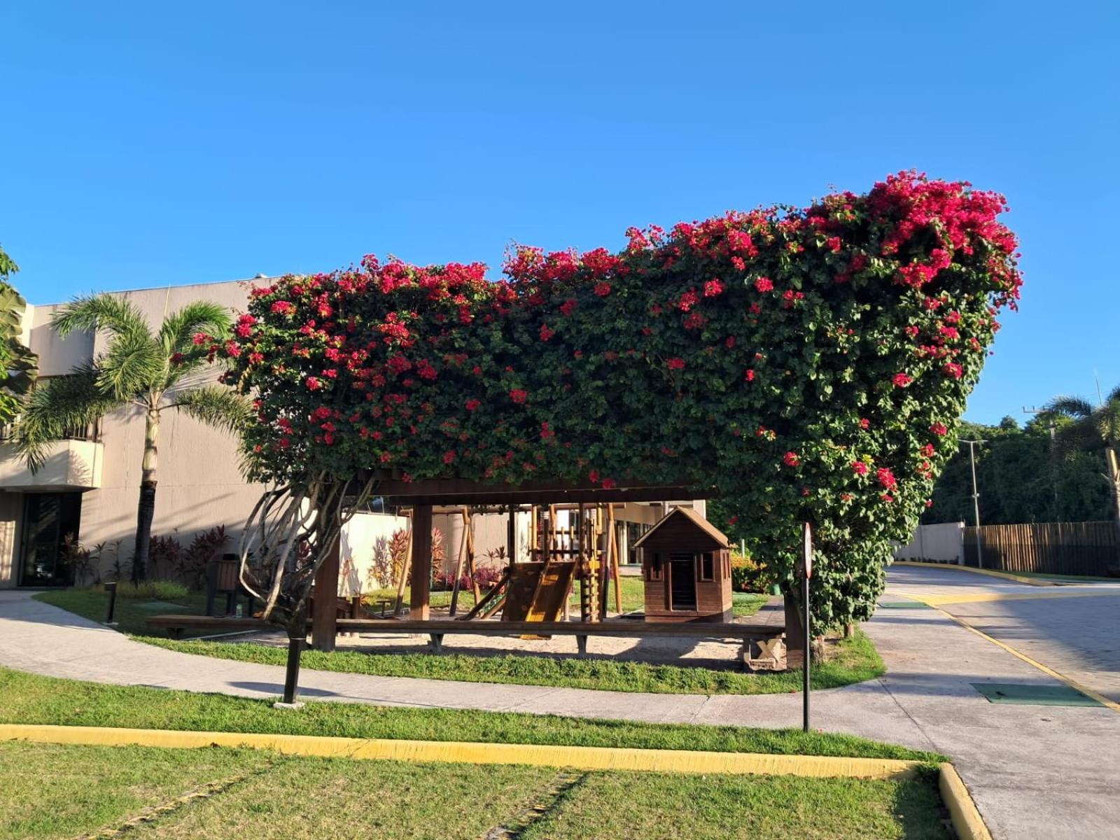 Beach Class Eco Life Apt 202-A Pôrto das Galinhas Екстериор снимка